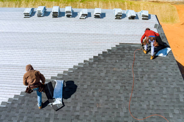 Best Metal Roofing Contractor  in West Vero Corridor, FL